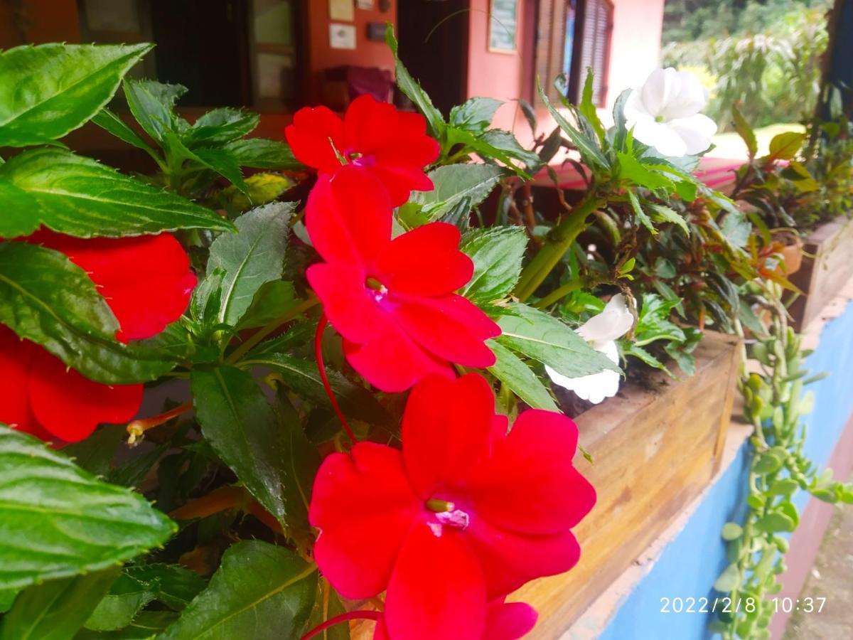 O Brejo Encantado Hospedagem E Hostel Эмбу Экстерьер фото